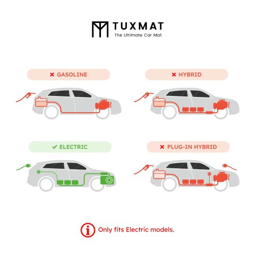 Electric 100 2f777484 c9ef 4fb6 b744 584ca5a7be4b